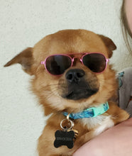 Load image into Gallery viewer, Custom "Max" Pet Dog Head Inspired Pop Grip/ Popsocket