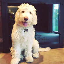 Load image into Gallery viewer, Rizzo Labradoodle Dog Head Inspired Pop Grip/ Popsocket