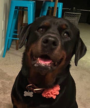 Load image into Gallery viewer, Custom “Autum” Rottweiler Pet Dog Head Inspired Pop Grip/ Popsocket