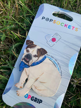 Load image into Gallery viewer, Custom “Mushu” Full Body Pet Dog Head Inspired Pop Grip/ Popsocket