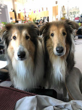 Load image into Gallery viewer, Custom “Sasha and Ashley” Pet Dog Head Inspired Pop Grip/ Popsocket