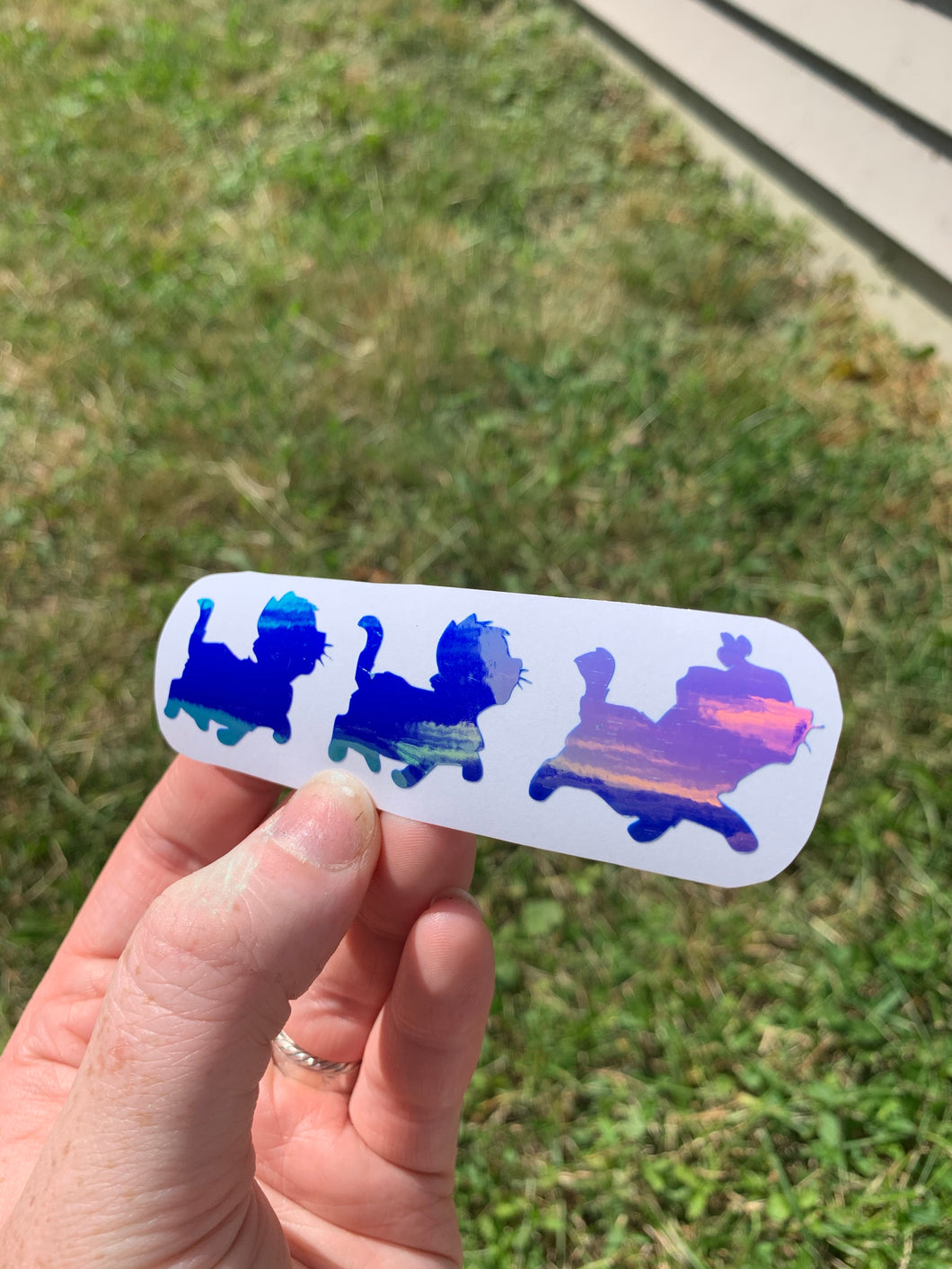 Holographic Kittens Silhouette Inspired Vinyl Decal