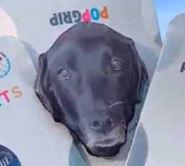 Custom Pet Dog Full Body Inspired Pop Grip/ Popsocket